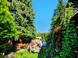 20200801_091003.jpg