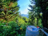 20200801_173209.jpg