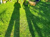 20200801_185342.jpg