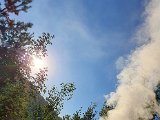 20200801_185902.jpg