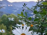 20200801_205231.jpg
