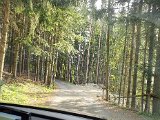 20200802_091636.jpg