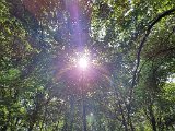 20200814_150048.jpg