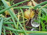 20200815_105054.jpg