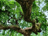 20200815_113753(0).jpg