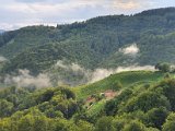 20200815_180612.jpg