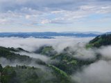 20200816_074627.jpg