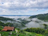 20200816_074637.jpg