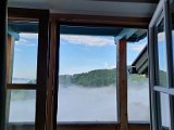 20200816_082904.jpg