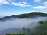 20200816_082932.jpg