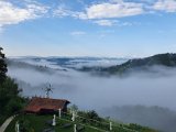 20200816_082944.jpg