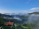 20200816_084348.jpg