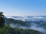 20200816_084406.jpg