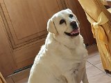 20200816_094345.jpg