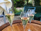 20200816_095024.jpg