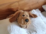 20200816_101244.jpg