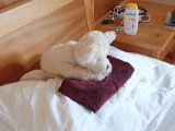 20200816_101250.jpg