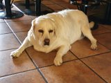 20200817_101957.jpg