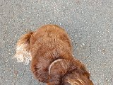 20200817_111011.jpg