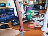 20200817_152445.jpg