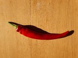 20200725_174123.jpg