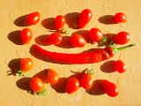 20200725_174443.jpg