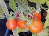 20200803_191346.jpg