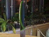 20201204_220953.jpg
