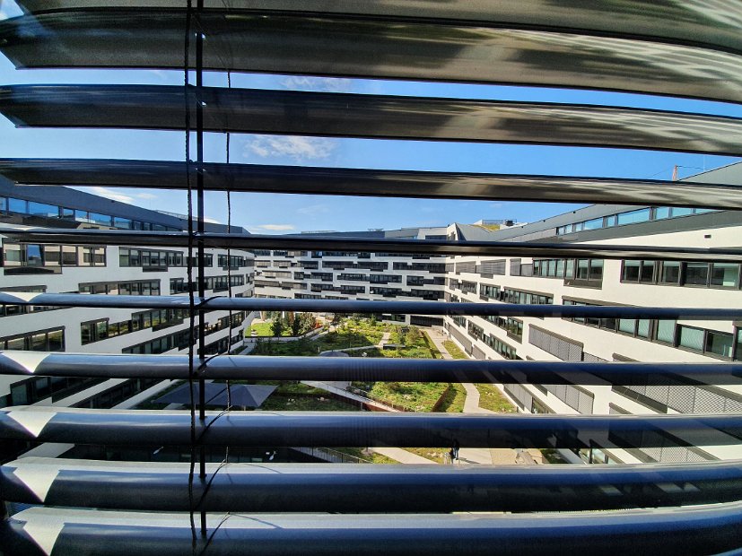 20201006_115125(0)
