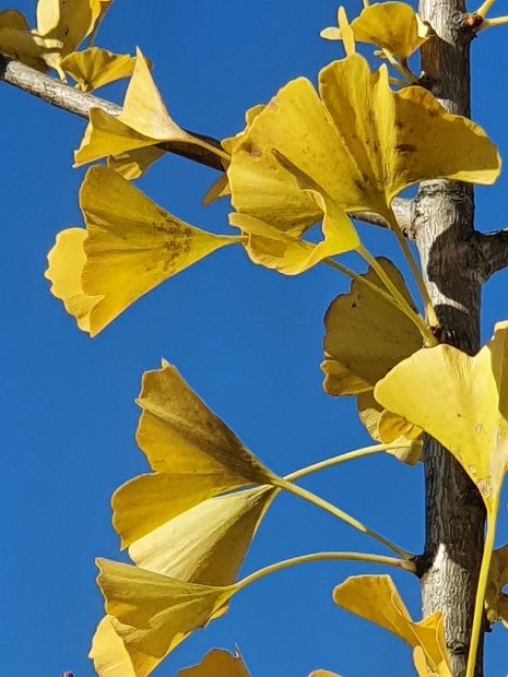 20201028_130900