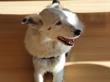 20200717_173752.jpg