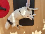 20200717_175937.jpg
