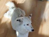 20200717_182919.jpg