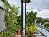 20200718_162512.jpg