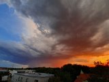 20200721_202857.jpg