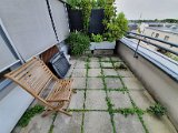 20200725_114242.jpg