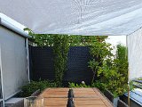 20200808_095203(0).jpg
