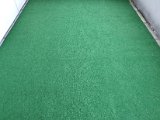 20200811_084758.jpg