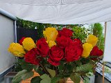 20200906_090737.jpg
