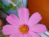 20200909_065020.jpg