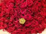 20200911_001409.jpg