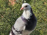 20200911_123437.jpg