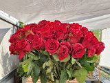 20200915_172027.jpg