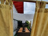 20200923_150311.jpg