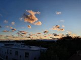 20200926_182726.jpg