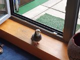 20200930_142446.jpg