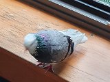 20200930_142451.jpg