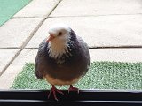 20200930_142540.jpg