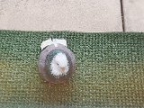 20201001_101032.jpg