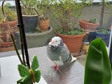 20201001_120117.jpg